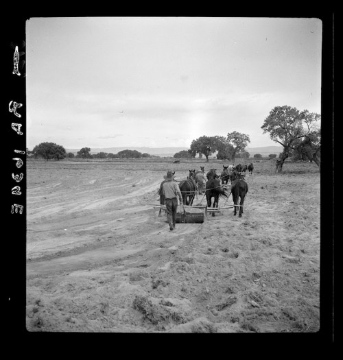 Farmers plow a field with horses, walking away from the camera under a cloudy sky. Trees are visible in the background.