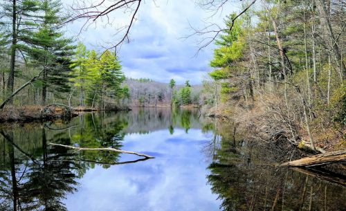 A serene lake surrounded by trees, reflecting a cloudy sky and lush greenery on the water's surface.