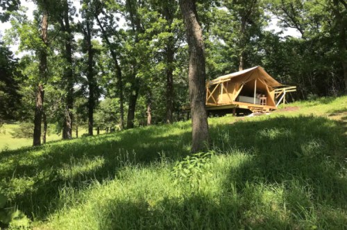 A wooden tent cabin nestled among lush green trees on a hillside.