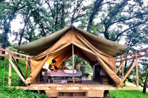 A cozy tent on a wooden platform surrounded by trees, with a person sitting on a bed reading.