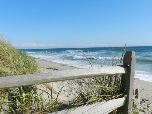 A sandy beach with gentle waves, framed by tall grass and a wooden fence under a clear blue sky.