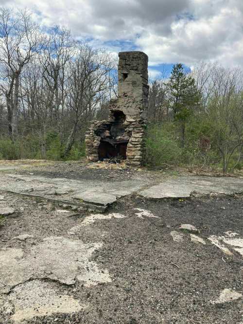 Ruins of a stone chimney stand amidst overgrown vegetation and a cloudy sky, with cracked ground surrounding it.