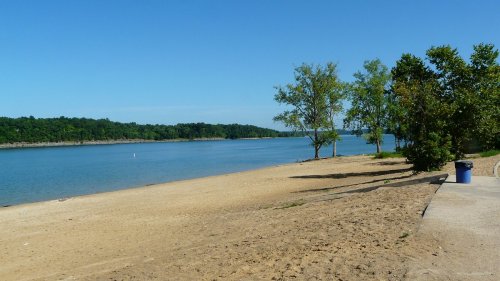 A serene beach scene with sandy shore, calm water, and trees under a clear blue sky.