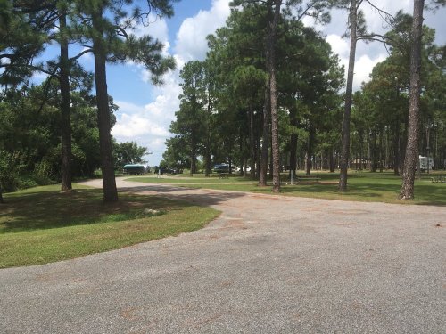 A winding gravel path through a wooded area with tall trees and a clear blue sky in the background.