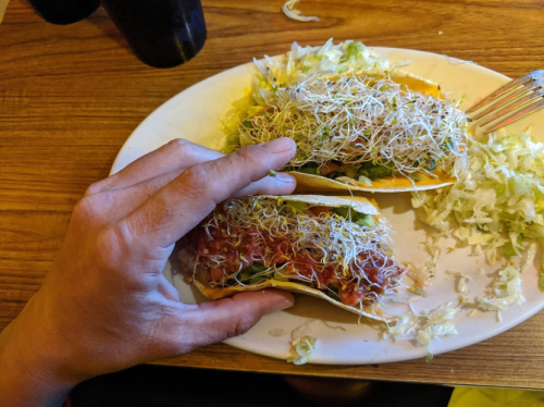 A hand holding two tacos topped with sprouts, served on a plate with shredded lettuce.