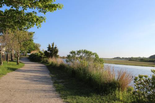 A serene pathway lined with greenery alongside a calm river under a clear blue sky.