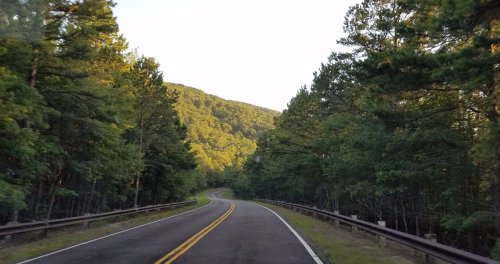 Winding road through lush green trees with a mountain in the background under a clear sky.