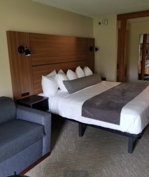 A modern hotel room featuring a bed with white pillows, a gray throw, and a gray sofa in the corner.