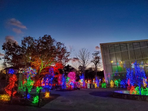 Colorful illuminated trees and decorations in a park at dusk, with a modern building in the background.