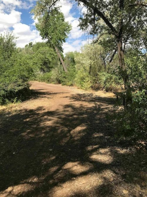 A dirt path winds through a lush green area with trees and scattered sunlight under a partly cloudy sky.