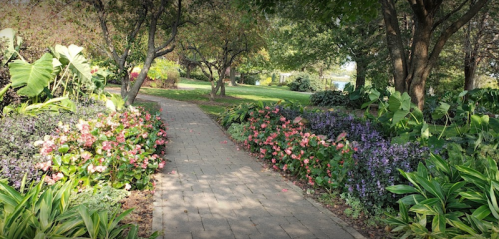 A scenic pathway lined with colorful flowers and lush greenery in a tranquil garden setting.