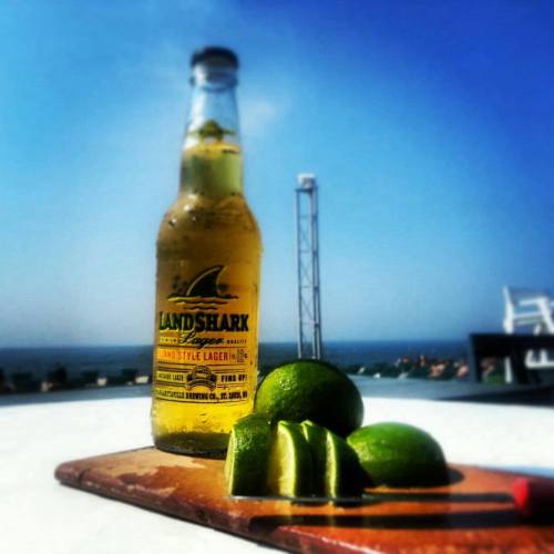 A bottle of Landshark lager next to sliced limes on a cutting board, with a beach and blue sky in the background.
