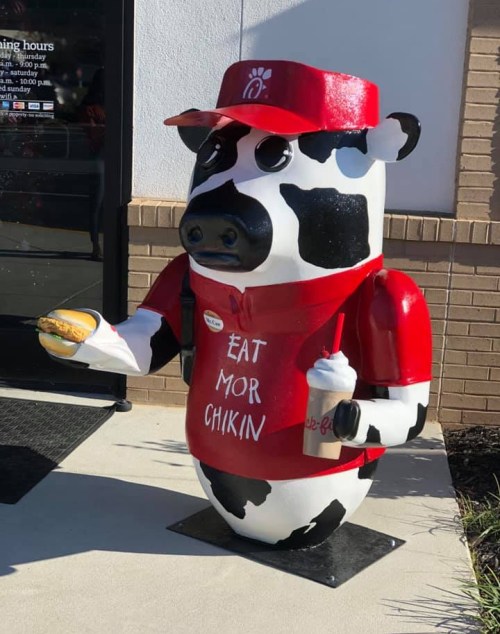 A cow statue in a red Chick-fil-A uniform holding a sandwich and drink, promoting "Eat Mor Chikin."