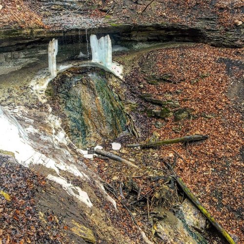 A rocky waterfall surrounded by ice and fallen leaves in a wooded area.