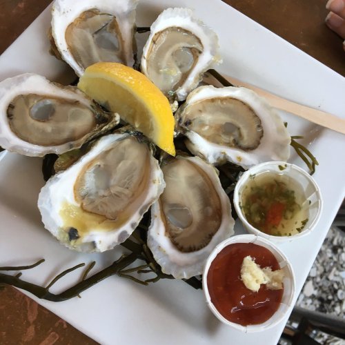 A plate of fresh oysters on a bed of seaweed, garnished with lemon and served with two dipping sauces.