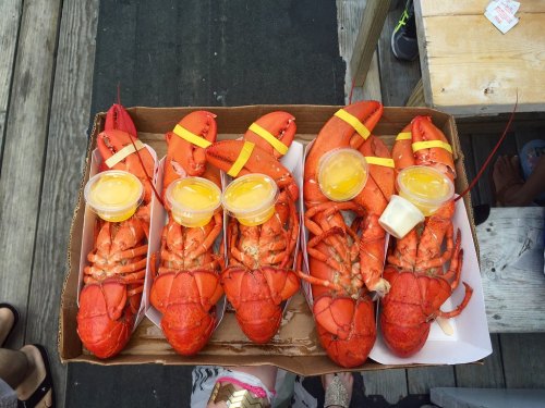 A box of five cooked lobsters, each with a cup of melted butter on top, resting on a wooden surface.