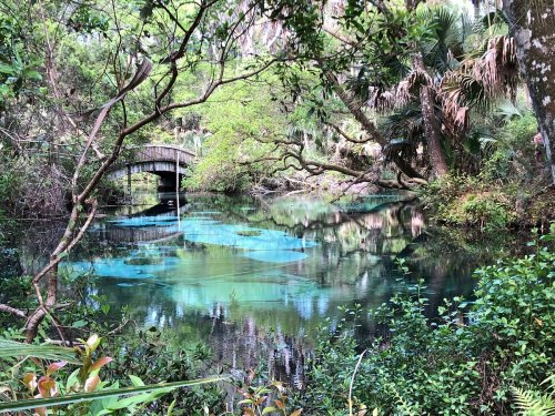 A serene river scene with a bridge, surrounded by lush greenery and reflections in the water.