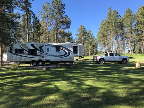 A parked RV and pickup truck on a grassy area surrounded by tall trees under a clear blue sky.