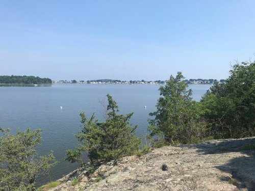 A serene lake view with trees in the foreground and a distant shoreline under a clear blue sky.