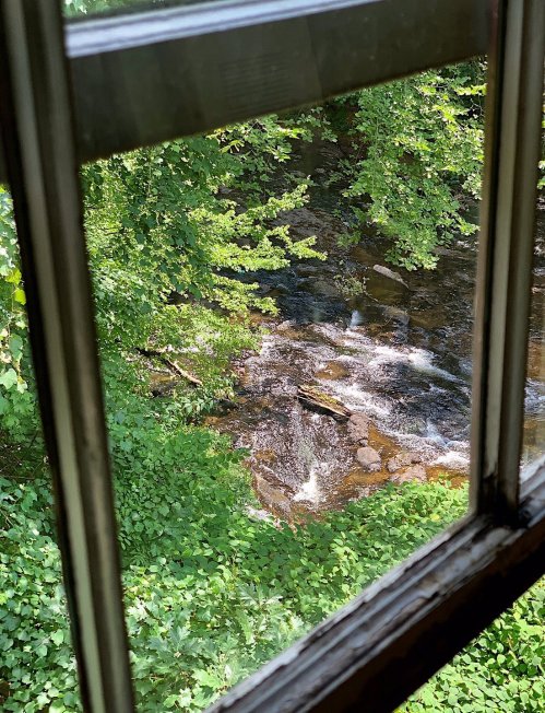 View of a serene stream surrounded by lush greenery, seen through a window.