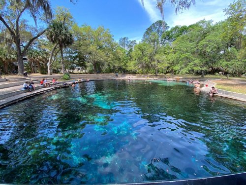 A clear blue spring surrounded by trees, with people swimming and relaxing along the edges.