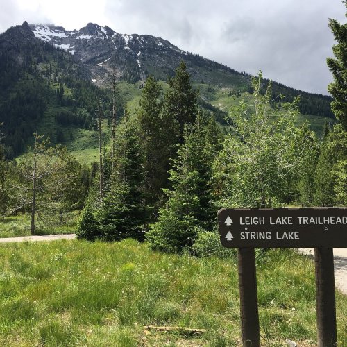 A trailhead sign for Leigh Lake and String Lake, surrounded by lush greenery and mountains in the background.