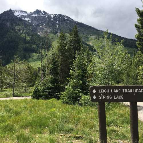 A trailhead sign for Leigh Lake and String Lake, surrounded by lush greenery and mountains in the background.