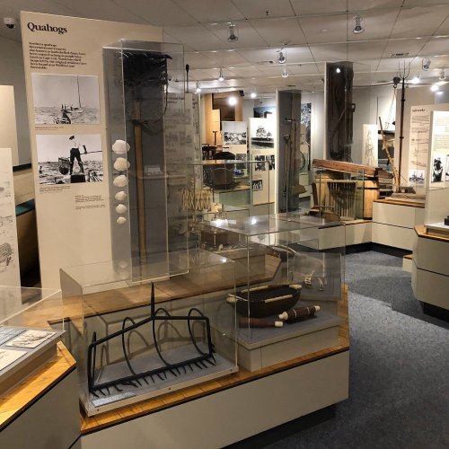 Exhibit showcasing quahog-related artifacts and displays in a museum setting.