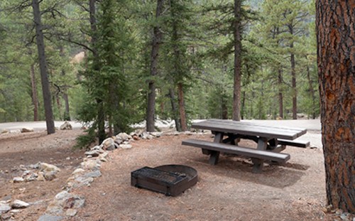 A picnic table and fire pit surrounded by trees in a serene forest setting.