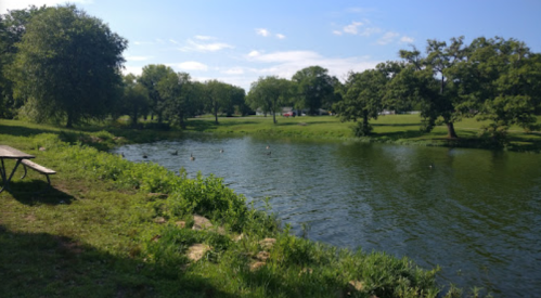 A serene pond surrounded by trees and grass, with ducks swimming and a picnic table nearby under a clear blue sky.