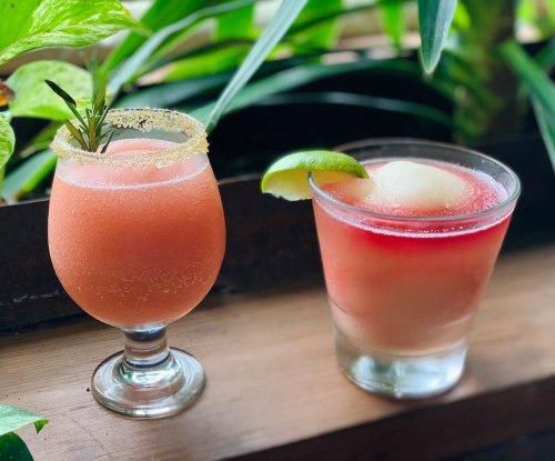 Two colorful cocktails sit on a wooden surface, surrounded by lush green plants. One has a salted rim and garnish.