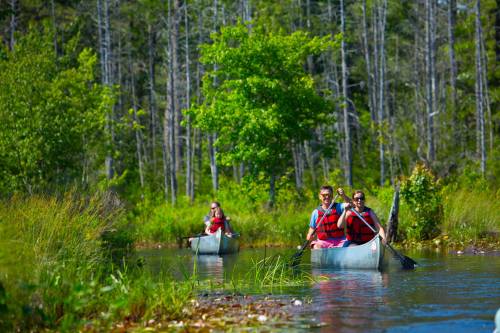 Three people in canoes paddle through a lush, green waterway surrounded by trees and vegetation.