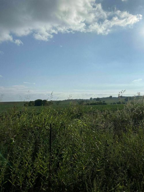 A scenic view of green fields under a blue sky with scattered clouds.