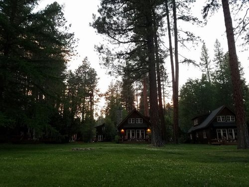 Two cozy cabins nestled among tall trees in a serene forest at dusk, with soft lights glowing from the windows.