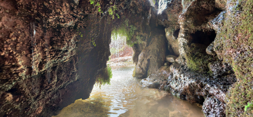 A rocky cave opening with green moss, leading to a calm water surface inside. Natural light filters through.