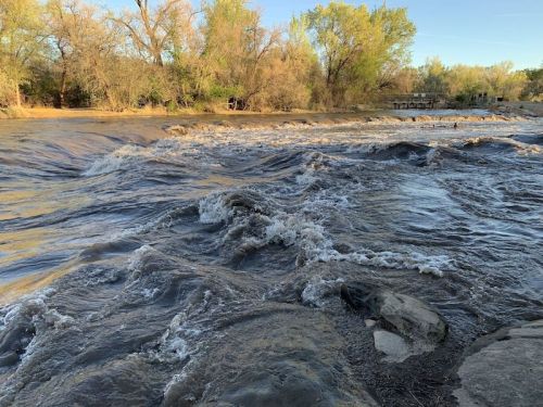 A flowing river with turbulent water, surrounded by trees and rocky banks under a clear sky.