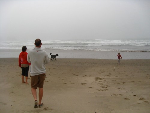 A man and woman walk on a beach while a child runs and a dog plays near the water on a foggy day.