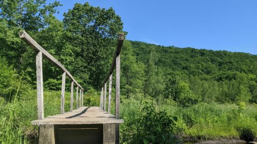 A wooden bridge leads into a lush green landscape under a clear blue sky.