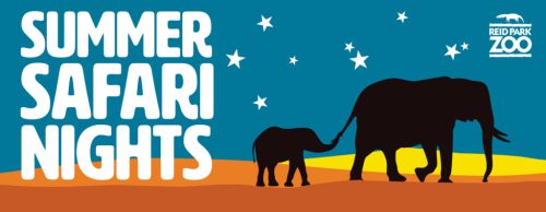 A silhouette of an elephant and a calf against a starry night sky, with "Summer Safari Nights" text above.