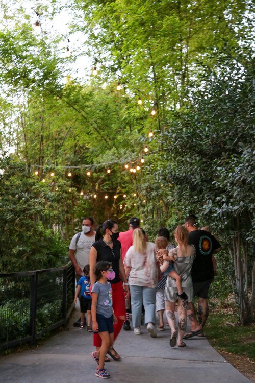 A group of people walking along a path surrounded by greenery and string lights, some wearing masks.
