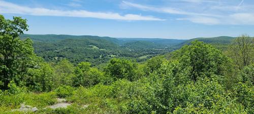 A panoramic view of lush green hills and valleys under a clear blue sky.