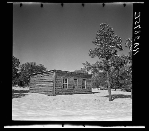 A log cabin surrounded by snow, with trees nearby and a clear sky above.