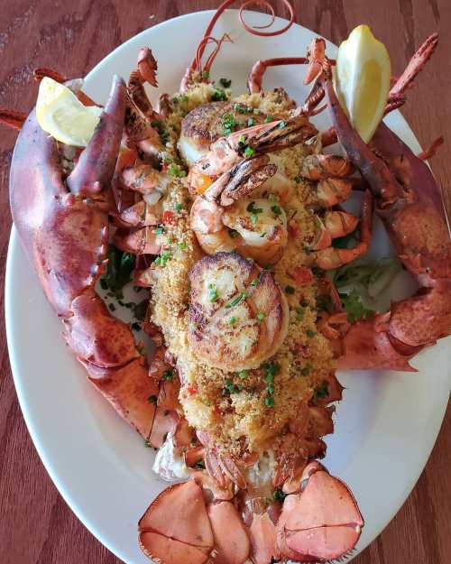 A large lobster topped with golden-brown scallops and garnished with lemon wedges on a white platter.