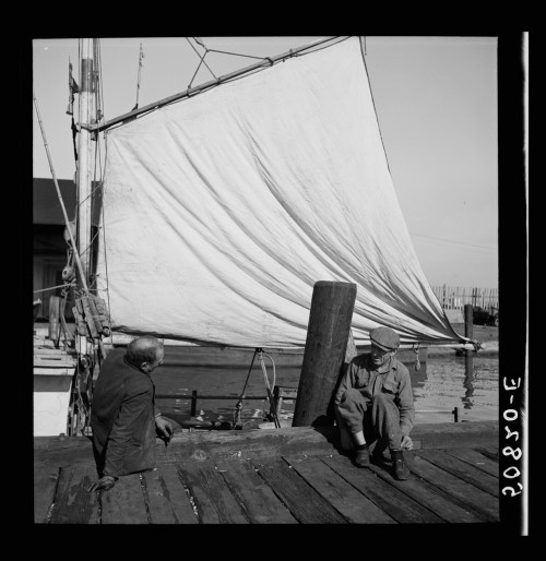 Two men sit on a wooden dock beside a sailboat with a large white sail, surrounded by water and a pier in the background.