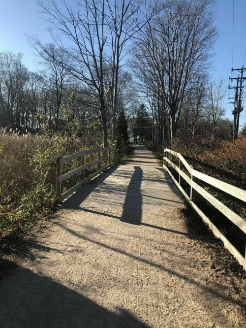 A sunny path with a wooden bridge, surrounded by trees and tall grass, casting a long shadow on the ground.