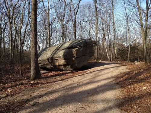 A large, flat boulder sits beside a dirt path in a wooded area with bare trees and fallen leaves.