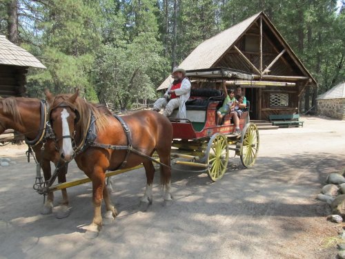 A horse-drawn carriage with a driver and two passengers in front of a rustic cabin surrounded by trees.