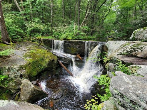 A serene waterfall cascades over moss-covered rocks in a lush green forest.