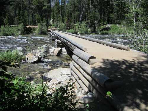 A wooden bridge spans a clear stream, surrounded by lush greenery and trees in a serene natural setting.