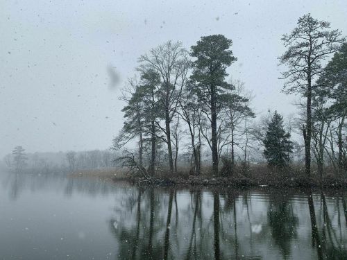 A serene winter scene with snow falling over a calm river, reflecting trees on the shore.